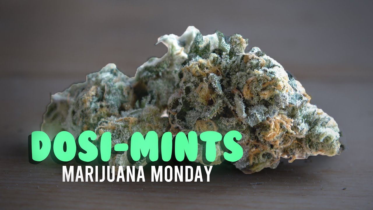 Dosi-Mints Marijuana Monday
