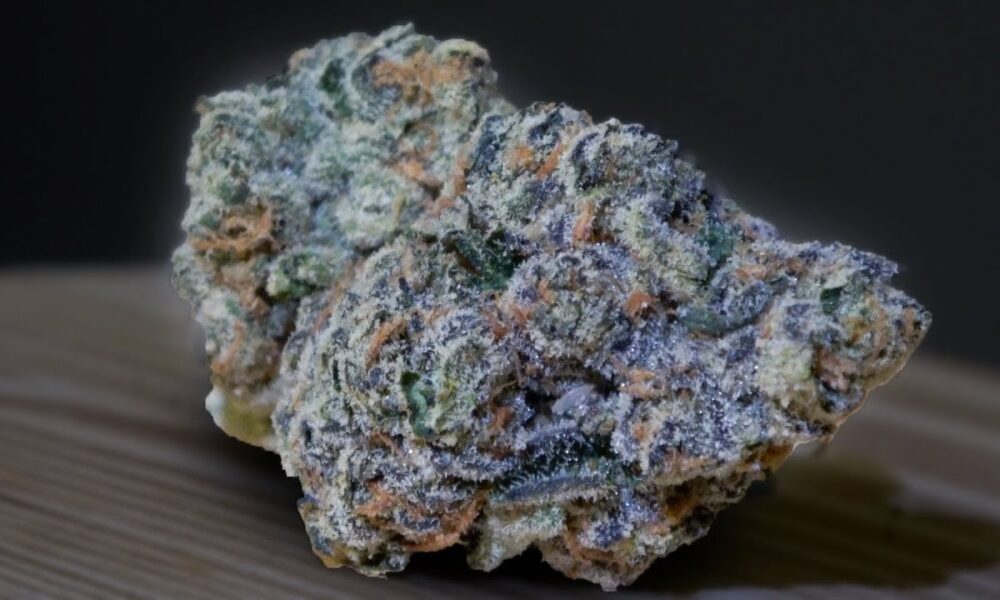 Freshwater Biscotti Marijuana Monday