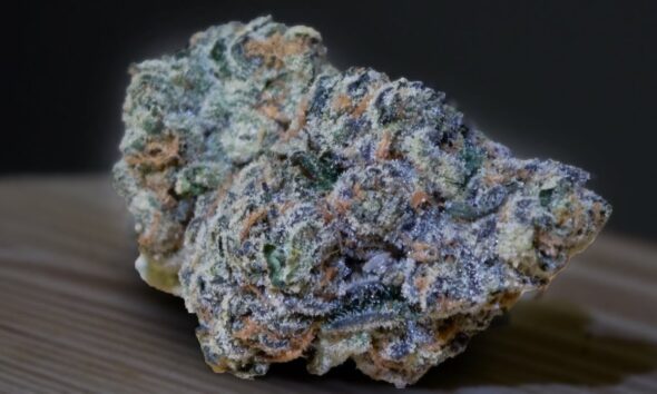 Freshwater Biscotti Marijuana Monday