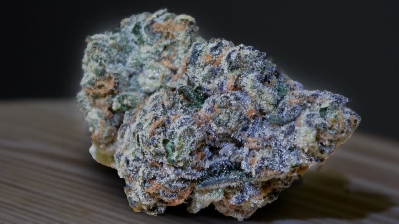 Freshwater Biscotti Marijuana Monday