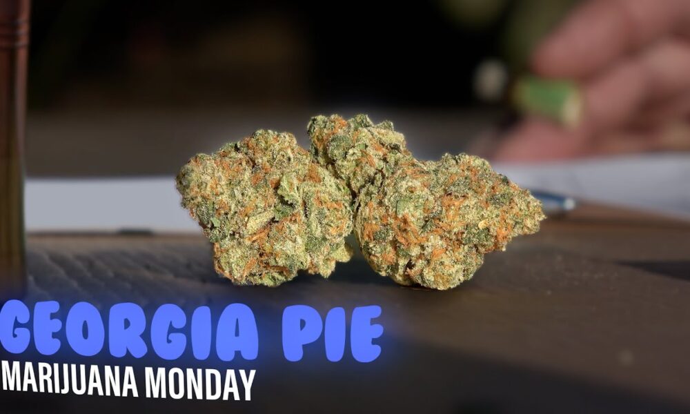 Georgia Pie Marijuana Monday
