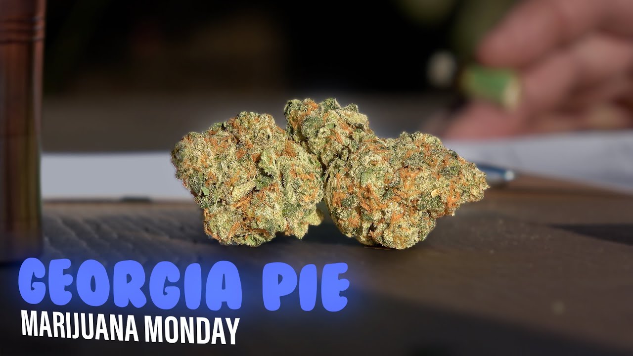 Georgia Pie Marijuana Monday