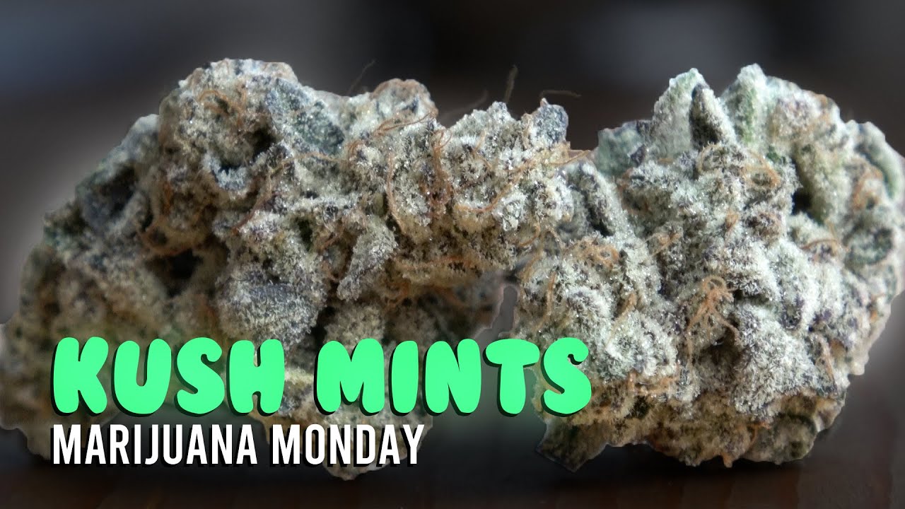 Kush Mints Marijuana Monday