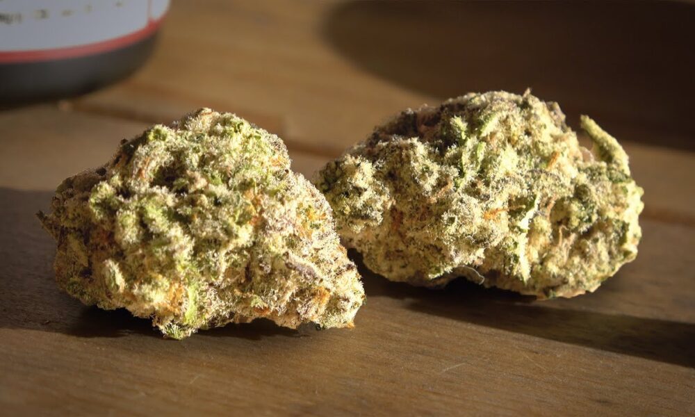 Mac Daddy Toking Tuesday