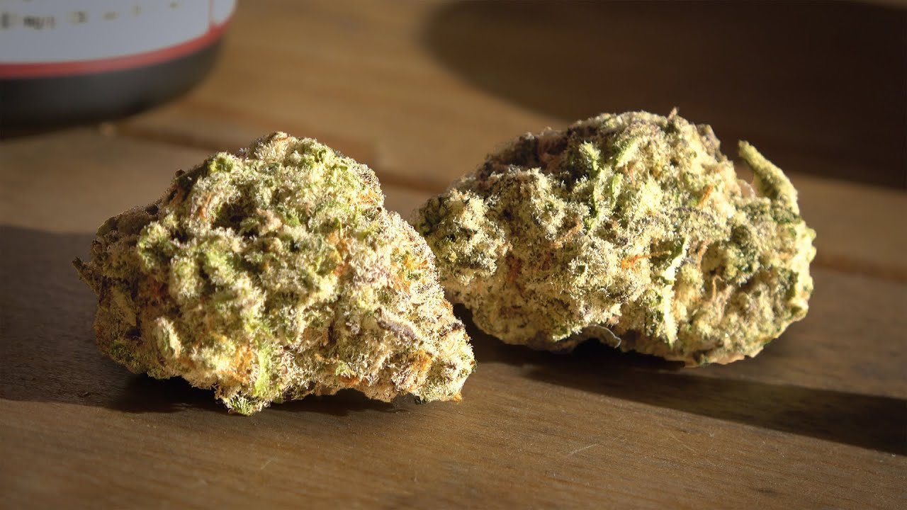 Mac Daddy Toking Tuesday