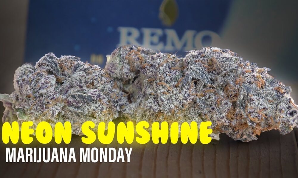 Neon Sunshine Marijuana Monday