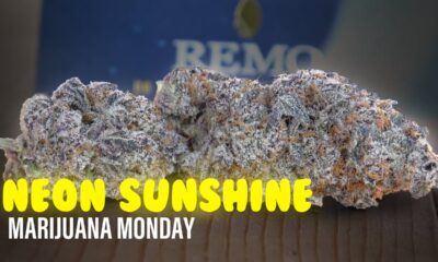 Neon Sunshine Marijuana Monday