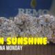Neon Sunshine Marijuana Monday