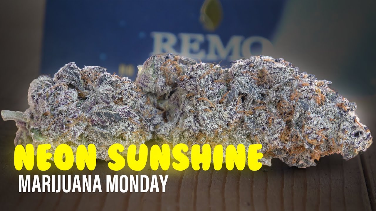 Neon Sunshine Marijuana Monday