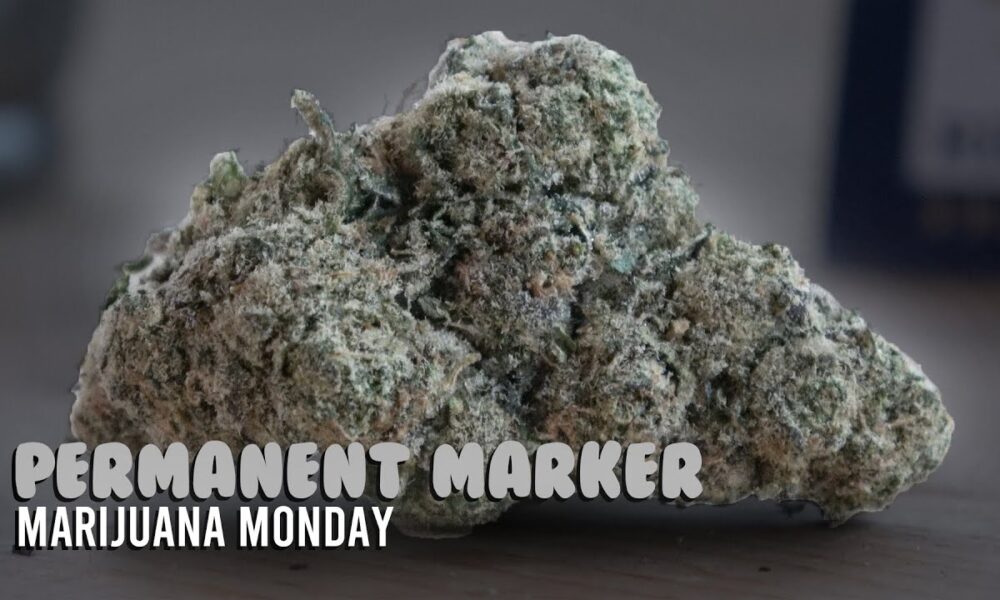Permanent Marker Marijuana Monday