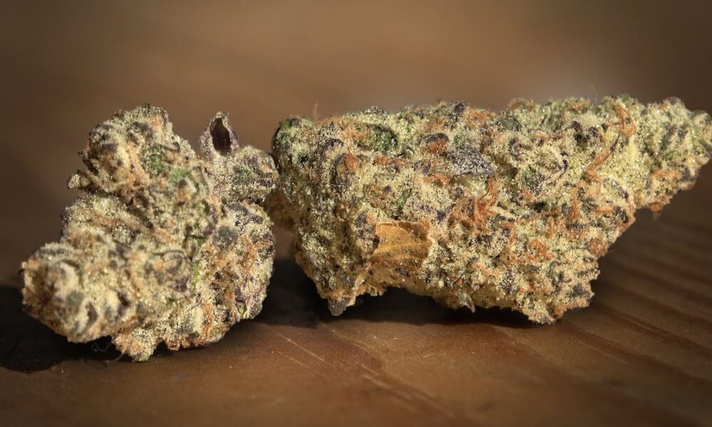 Platinum Garlic Mints Marijuana Monday