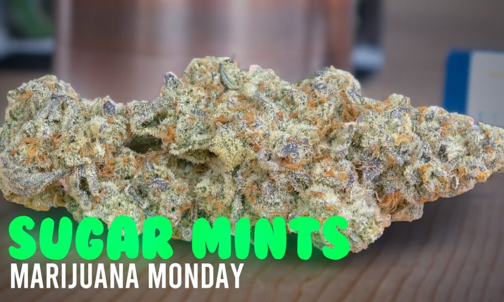 Sugar Mints Marijuana Monday