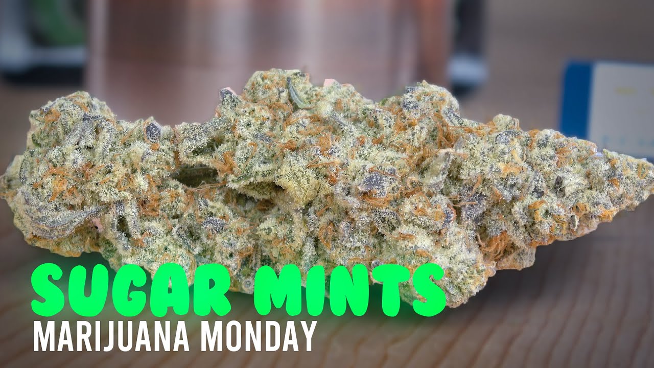 Sugar Mints Marijuana Monday