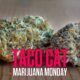 Taco Cat Marijuana Monday