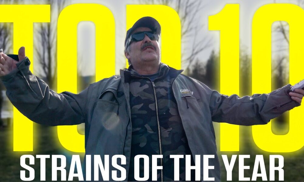 Top 10 Strains of the 2024!