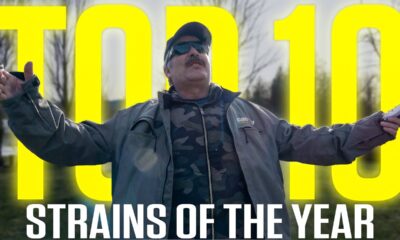 Top 10 Strains of the 2024!