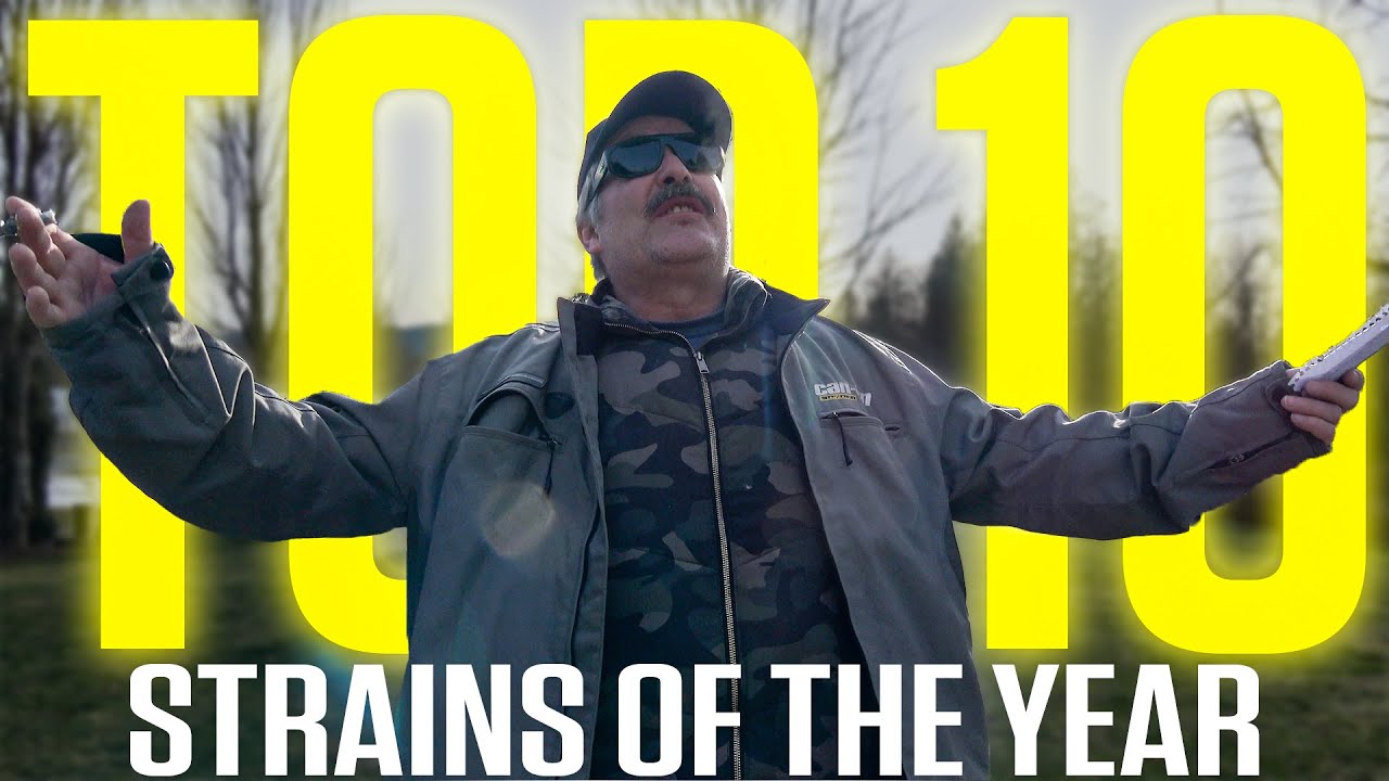 Top 10 Strains of the 2024!