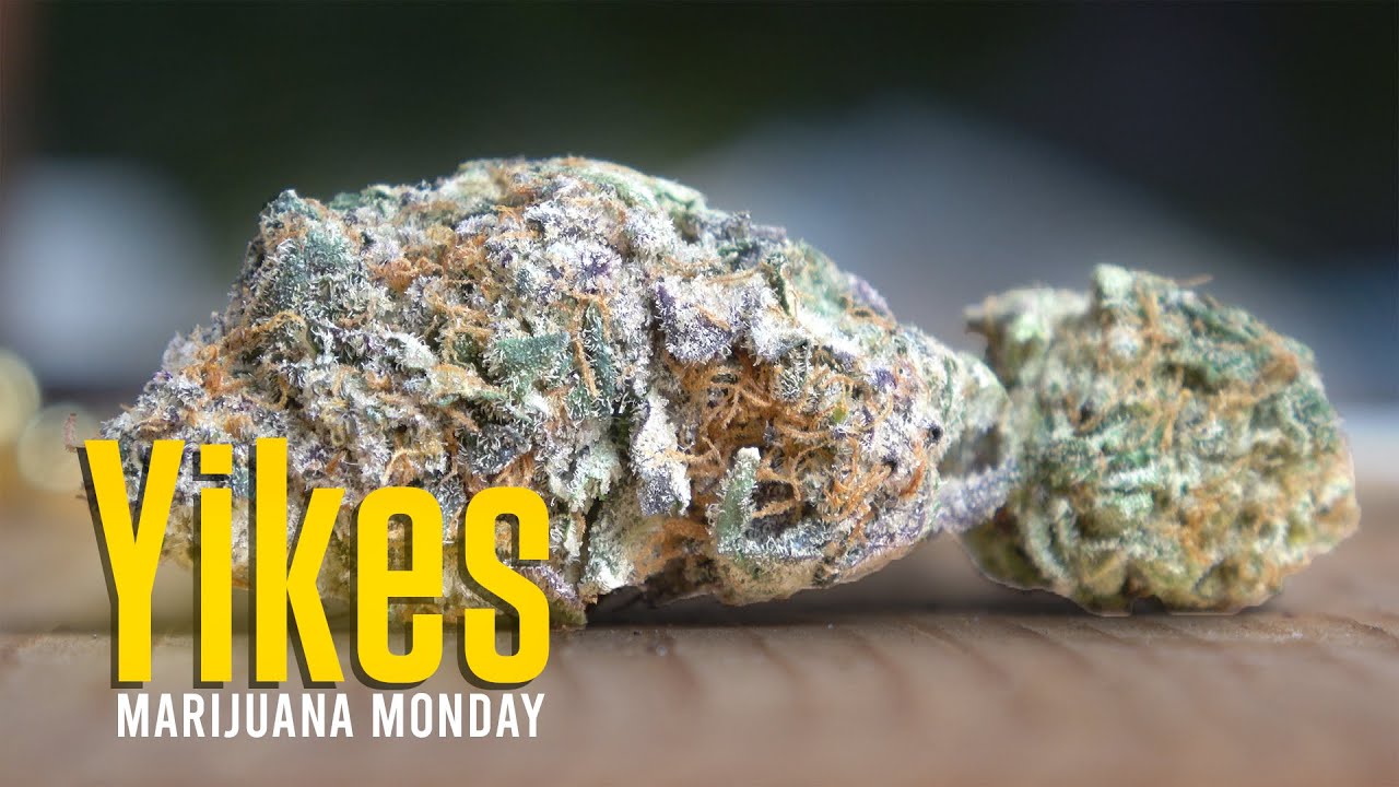 Yikes Marijuana Monday