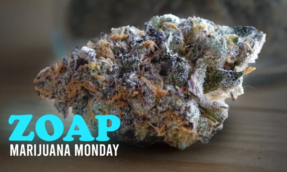 Zoap Marijuana Monday