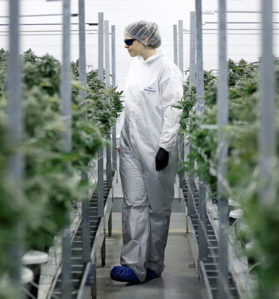 Marijuana Retail Report