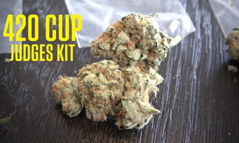 420 Cup Judges Kit