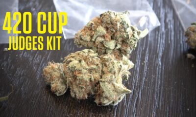 420 Cup Judges Kit