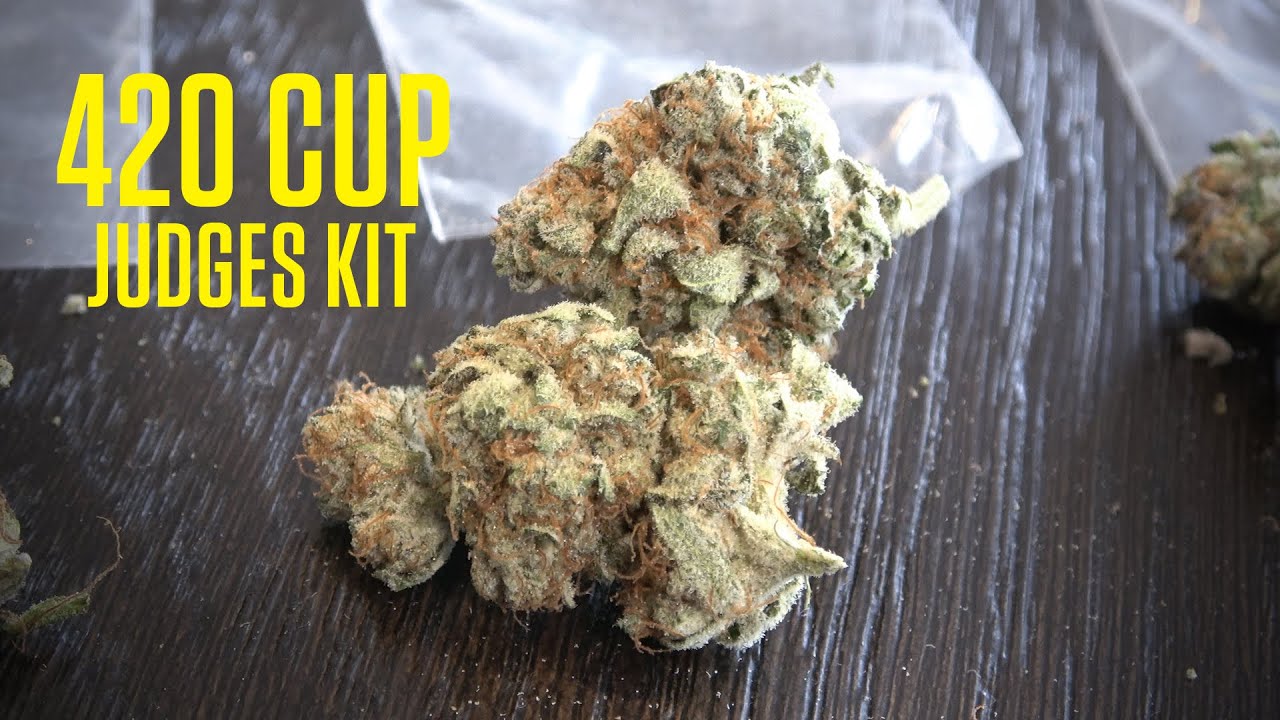 420 Cup Judges Kit
