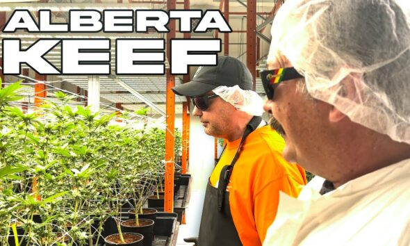 Alberta Keef Garden Tour