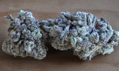 Apples and Bananas Marijuana Monday