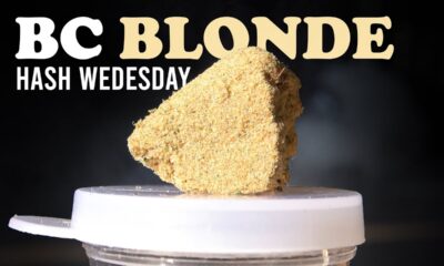 BC Blonde Hash Wednesday