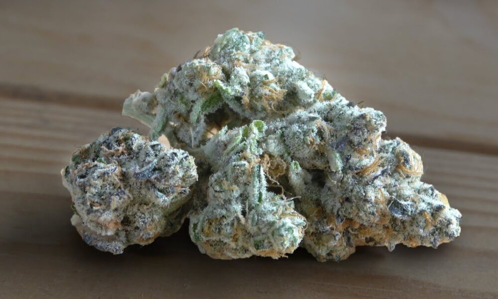 Bitch Slap Marijuana Monday