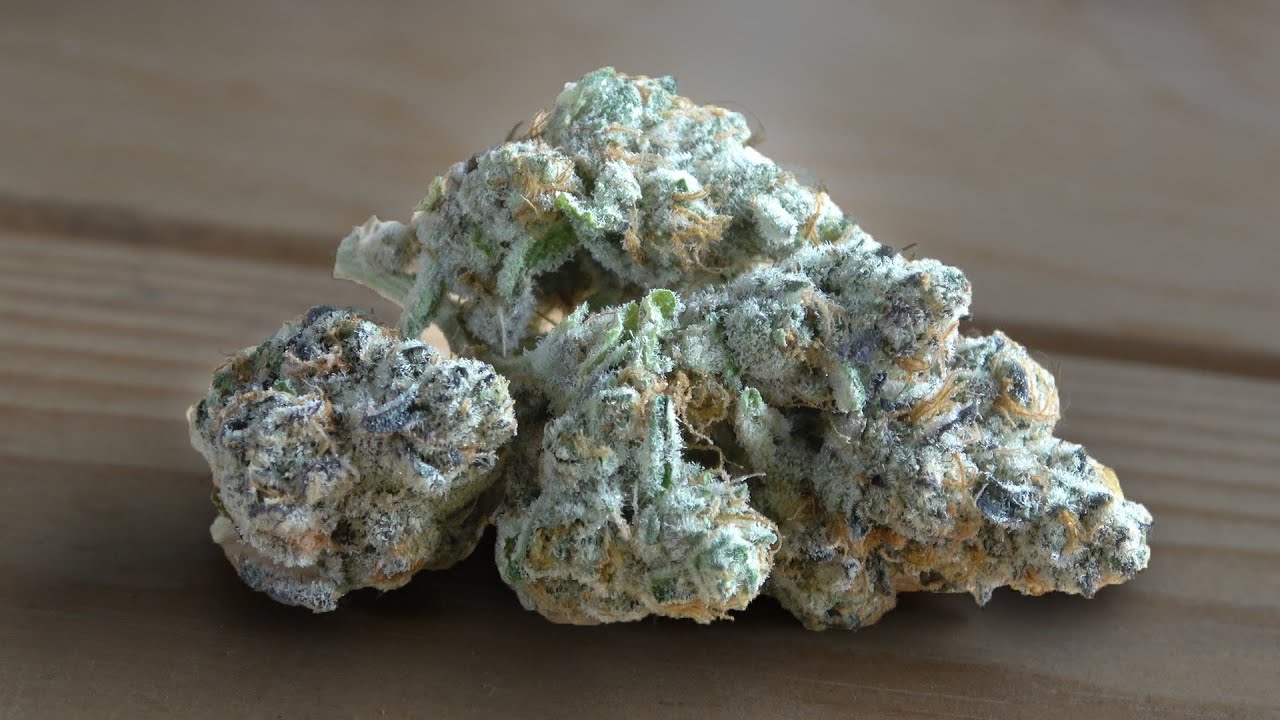 Bitch Slap Marijuana Monday