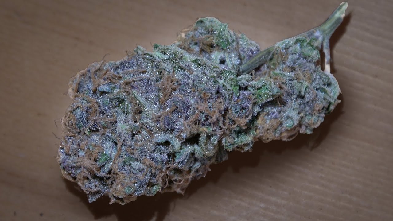 Black Cherry Punch Marijuana Monday AT NIGHT!