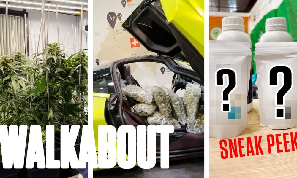 CannaTrade Switzerland Walkabout