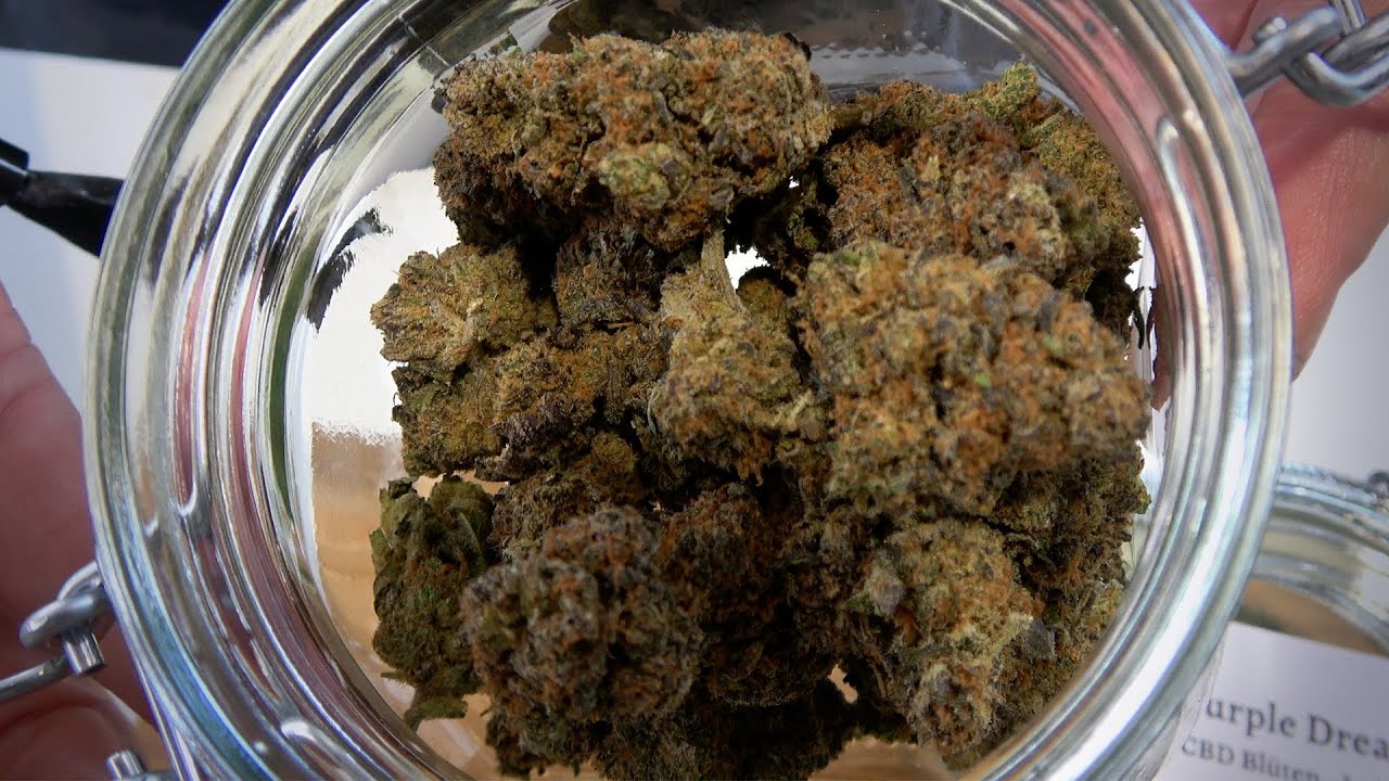 Cannabis Sommelier Booth CannaTrade Switzerland 2023