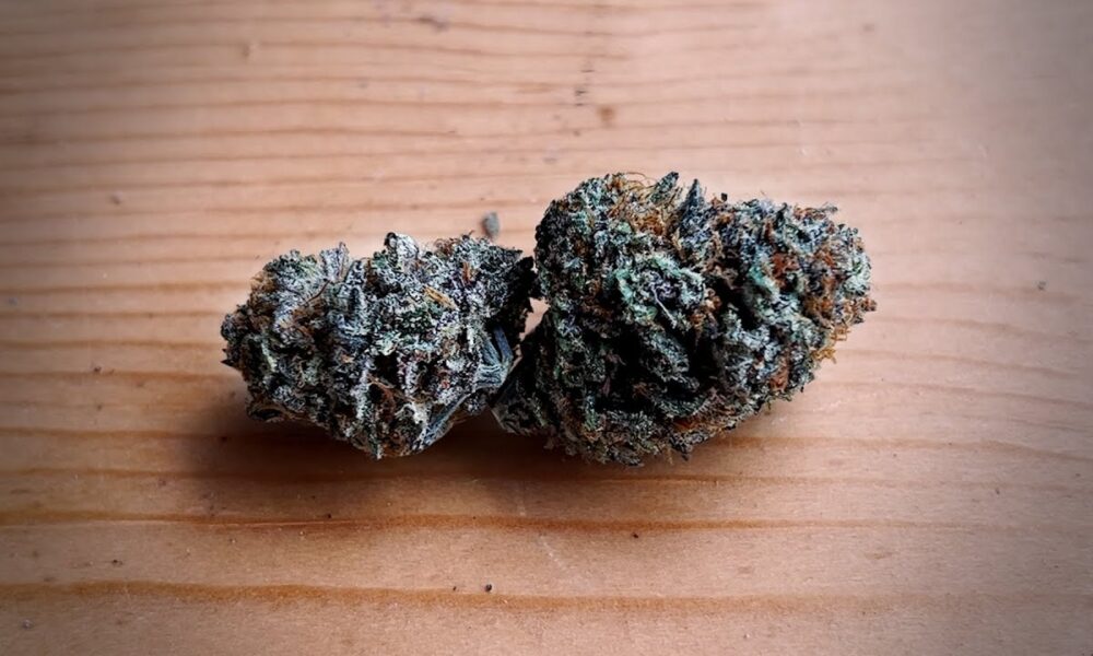 Coka Marijuana Monday