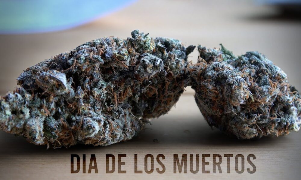 Dia De Los Muertos Marijuana Monday