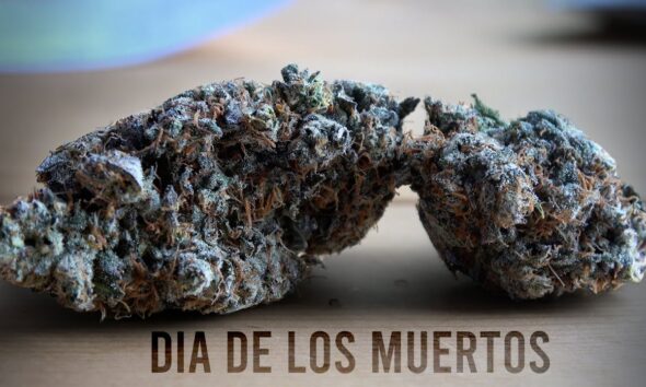 Dia De Los Muertos Marijuana Monday