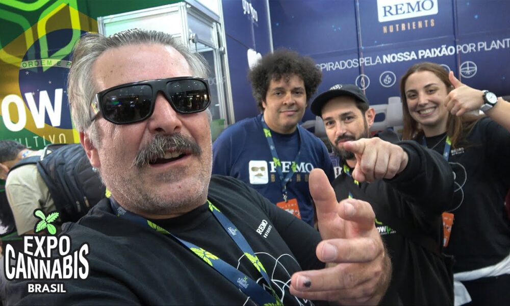 Expo Cannabis Brazil Walk Around 2023