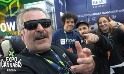 Expo Cannabis Brazil Walk Around 2023