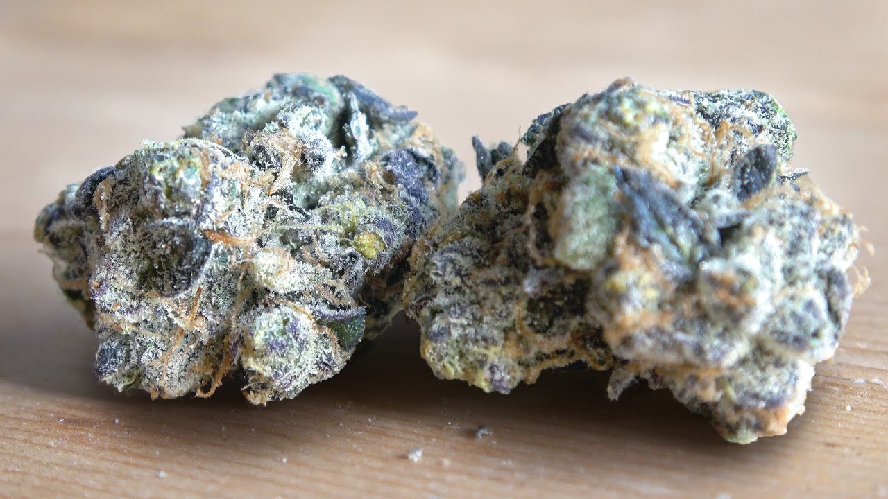 GMO aka Garlic Cookies Marijuana Monday