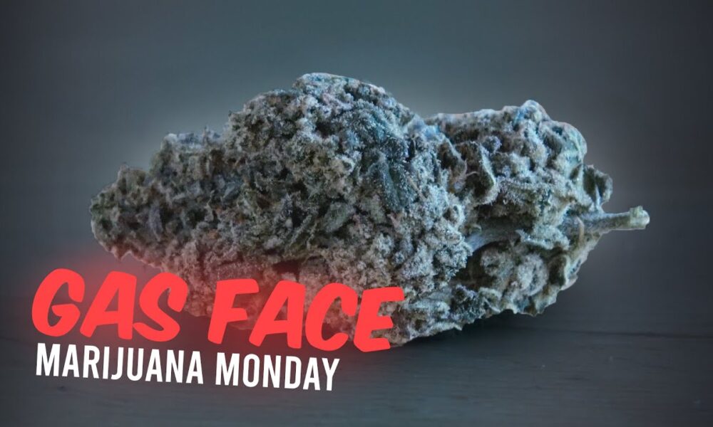 Gas Face Marijuana Monday
