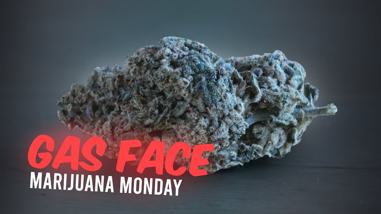 Gas Face Marijuana Monday