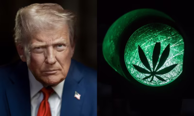 Marijuana Retail Report