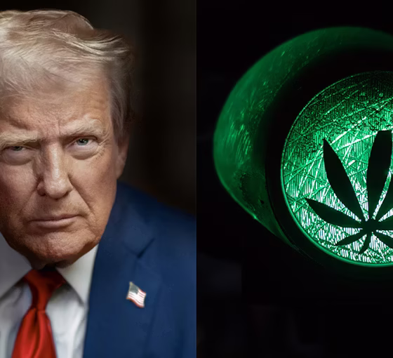 Marijuana Retail Report