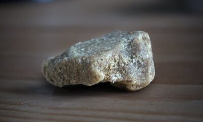 Quebec Blonde Hash Wednesday