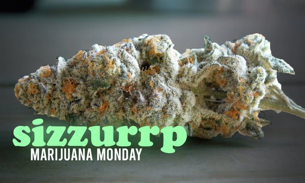 Sizzurrp Marijuana Monday