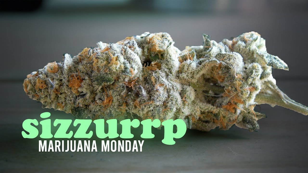 Sizzurrp Marijuana Monday