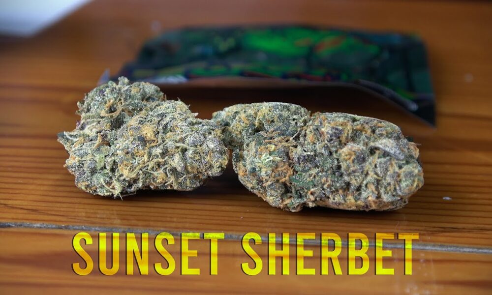 Sunset Sherbet Marijuana Monday AT THE CANNABAR!
