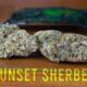 Sunset Sherbet Marijuana Monday AT THE CANNABAR!